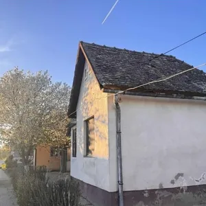 Квартира в Сербия, фото 3