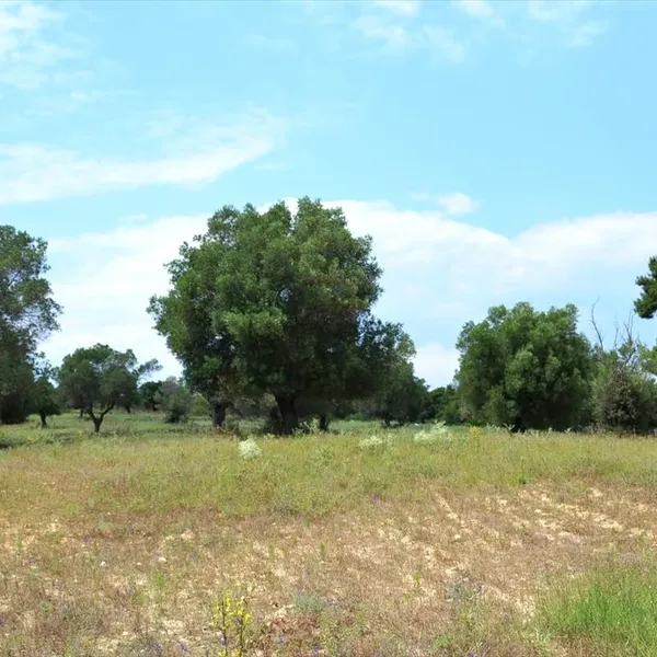 Земельный участок в Kassandra Municipality, фото 1