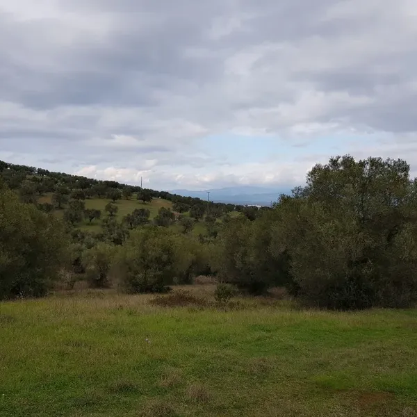 Земельный участок в Kassandra Municipality, фото 1