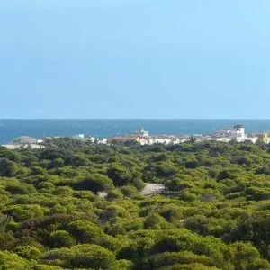 Квартира в Гуардамар-дель-Сегура, фото 5