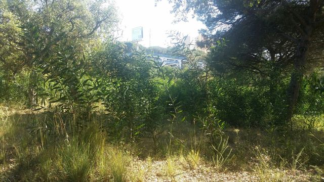 Земельный участок в Марбелья