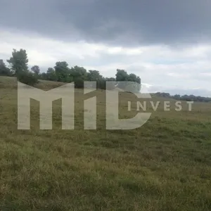 Земельный участок в Каллифея (Кассандра), фото 3