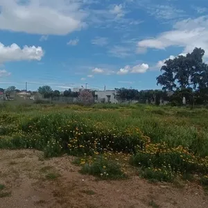 Земельный участок в Anavissos Municipal Unit, фото 3