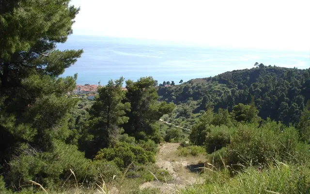 Земельный участок в Kassandra Municipality