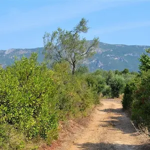Земельный участок в Corfu, фото 3