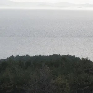Земельный участок в Вир, фото 2