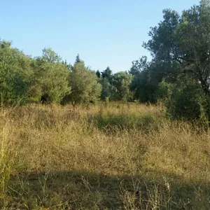 Земельный участок в Kassandra Municipality, фото 3