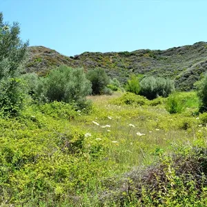 Земельный участок в Kassandra Municipality, фото 2