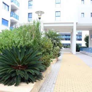 Квартира в Аликанте, фото 4