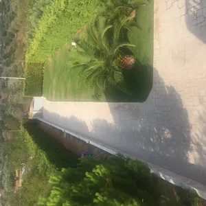 Отдельный дом в Коропи, фото 4