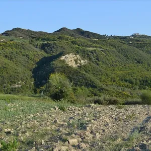 Земельный участок в Kassandra Municipality, фото 5