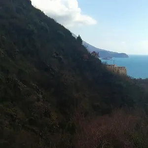 Земельный участок в Рисан, фото 2