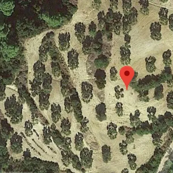 Земельный участок в Kassandra Municipality, фото 1