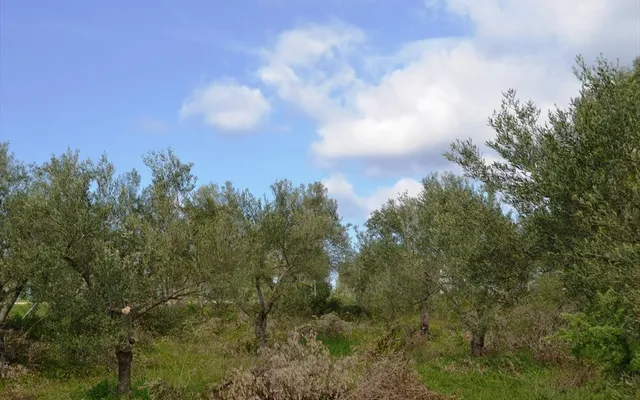 Земельный участок в Kassandra Municipality