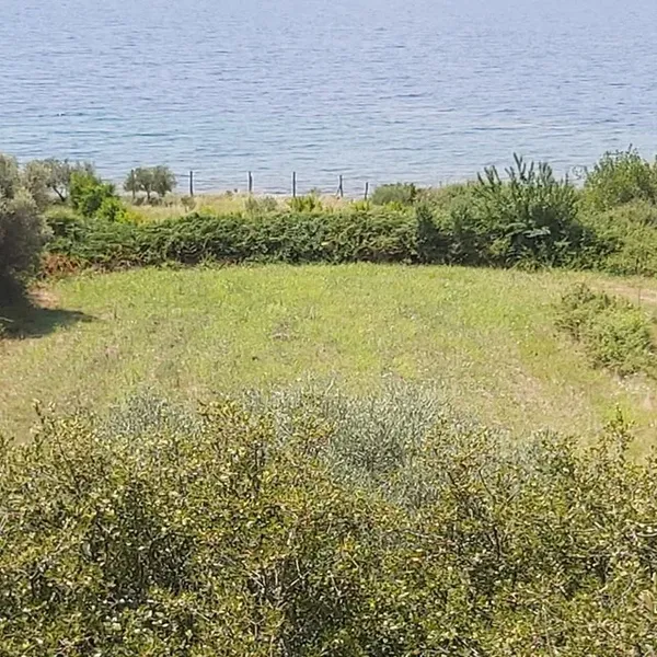 Земельный участок в Aristotle University of Thessaloniki, фото 1