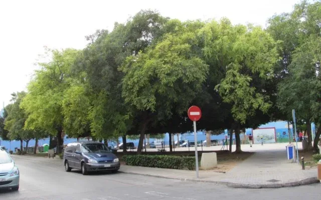 Квартира в Торревьеха