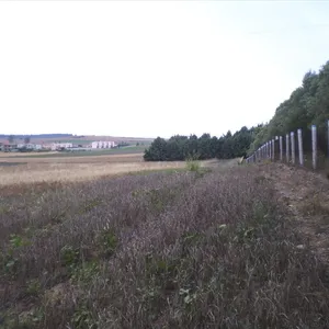 Земельный участок в Kassandra Municipality, фото 2