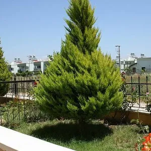 Вилла в Белек, фото 4