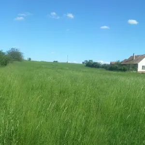 Земельный участок в Кестхей, фото 4