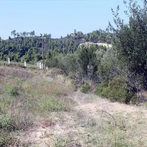 Земельный участок в Kassandra Municipality, фото 5
