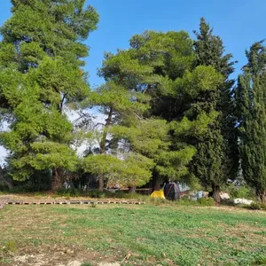 Земельный участок в Corfu, фото 2