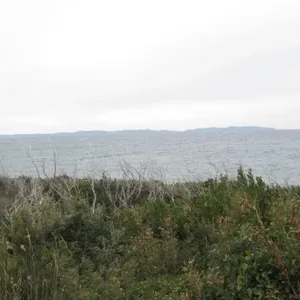 Земельный участок в Вир, фото 3
