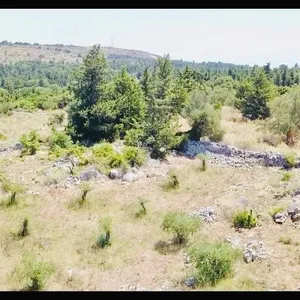 Земельный участок в Вамо, фото 3
