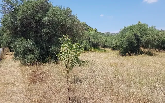 Земельный участок в Kassandra Municipality
