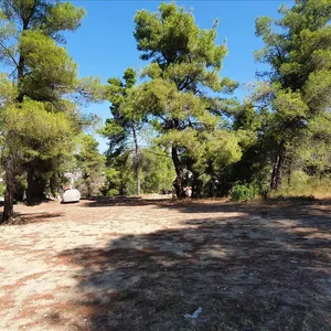 Земельный участок в Kassandra Municipality, фото 5