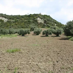 Земельный участок в Kassandra Municipality, фото 2
