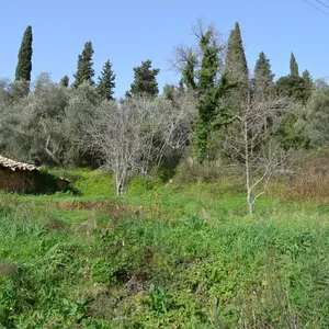 Земельный участок в Corfu, фото 3