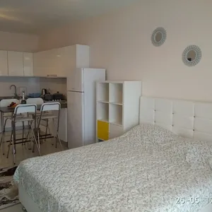 Студия в Искеле, фото 5