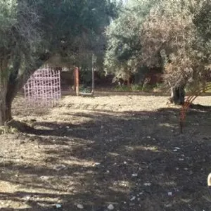 Дом в Альбатера, фото 4
