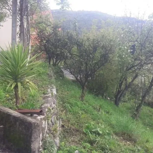 Отдельный дом в Зеленика, фото 1