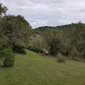 Земельный участок в Kassandra Municipality, фото 2