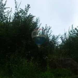 Земельный участок в Риека, фото 3