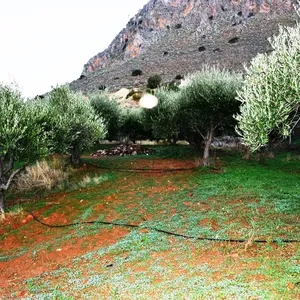 Земельный участок в Гувес, фото 2