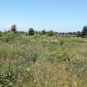 Земельный участок в Kassandra Municipality, фото 5