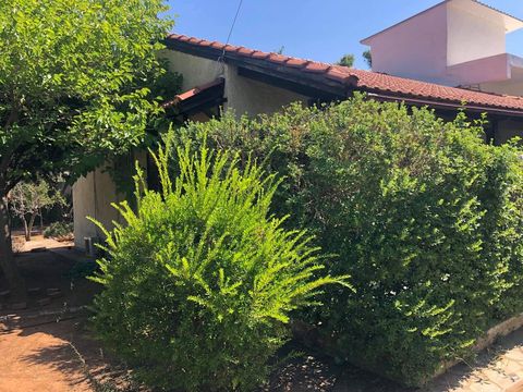 Отдельный дом в Неа Макри