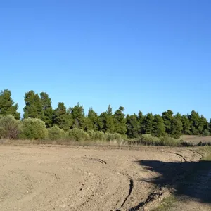 Земельный участок в Kassandra Municipality, фото 5