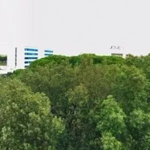 Квартира в Рим, фото 2