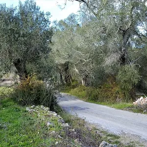 Земельный участок в Corfu, фото 2