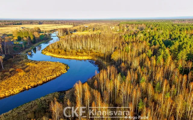 Земельный участок в Ляэнисте