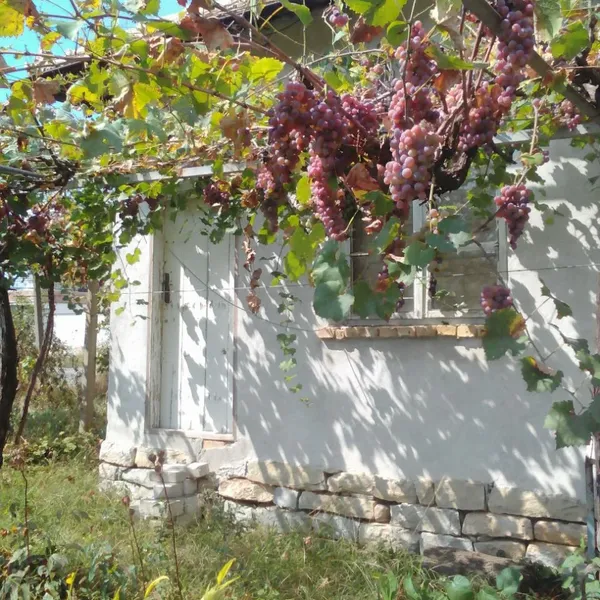 Дом в Василь Левски, фото 1
