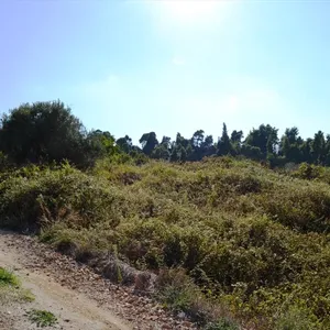 Земельный участок в Kassandra Municipality, фото 3