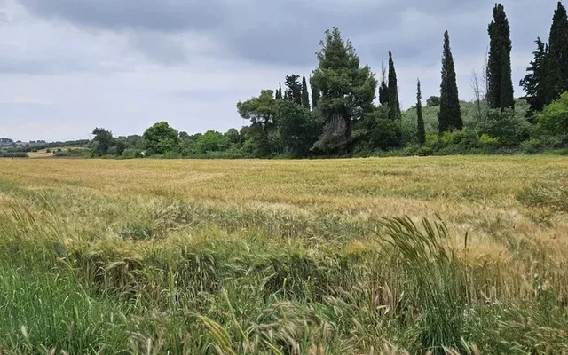 Земельный участок в Kassandra Municipality