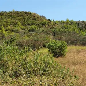 Земельный участок в Kassandra Municipality, фото 2
