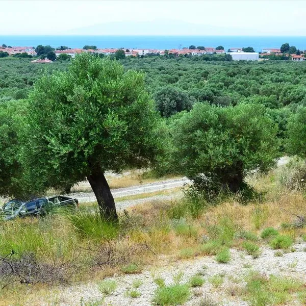 Земельный участок в Kassandra Municipality, фото 1