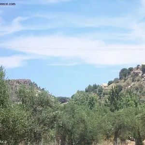 Земельный участок в Аргасси, фото 4
