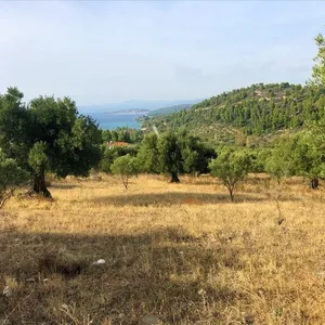 Земельный участок в Ситониа, фото 2